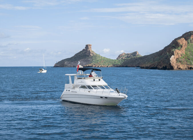 Mar De Cortes